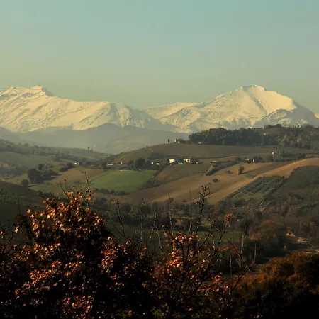 La Casa In Campagna *