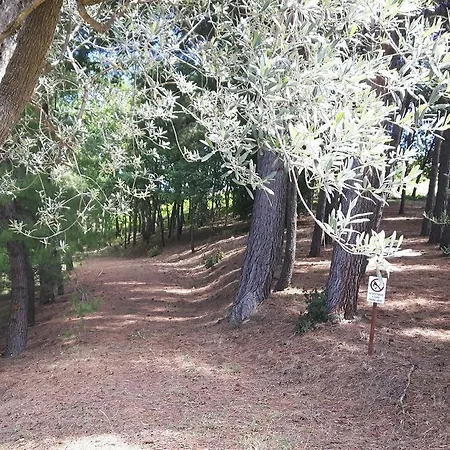 Bed & Breakfast La Casa In Campagna Cossignano