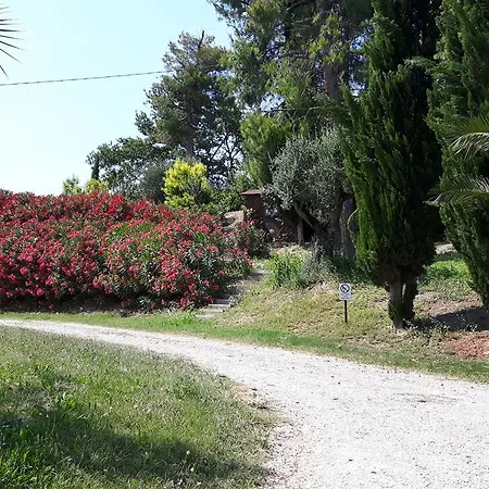 La Casa In Campagna * Cossignano